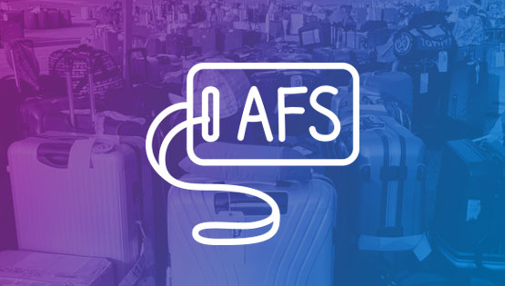 AFS Hungary offers